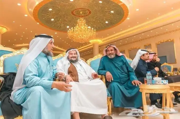 مصور محترف _ بث مباشر _ vr 360 7