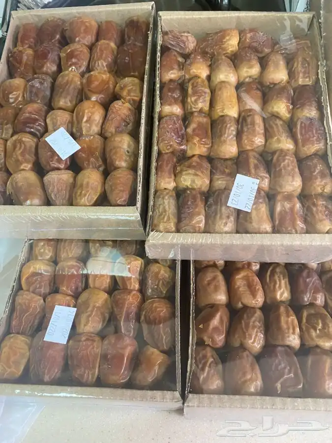 عجوة عالية المدينه وانواع التموور 36