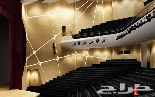 شركة تنفيذ مسارح وتوريد كراسي وعمل التصاميم 6