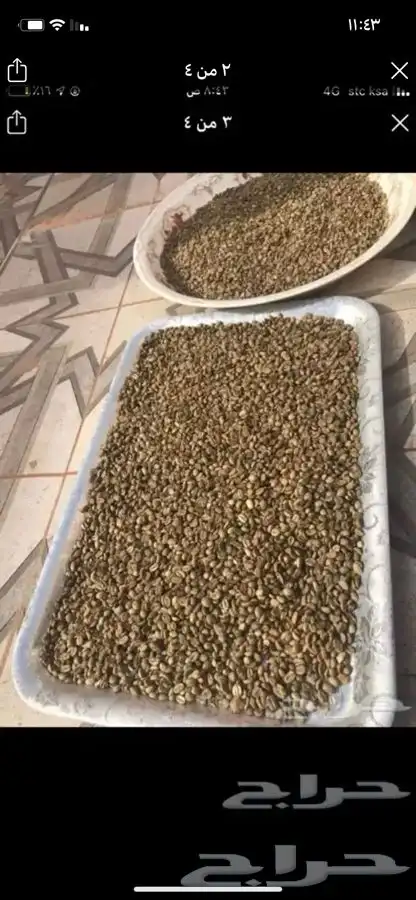 قهوه مغسوله 1