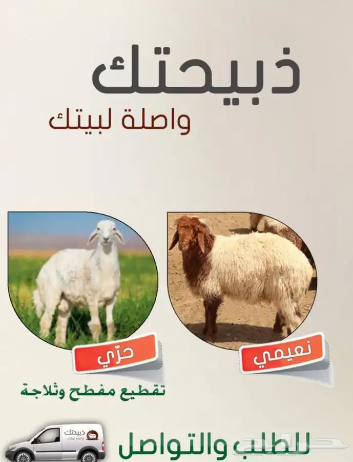 ذبايح خرفان رخال حريات مع السلخ والتوصيل 15