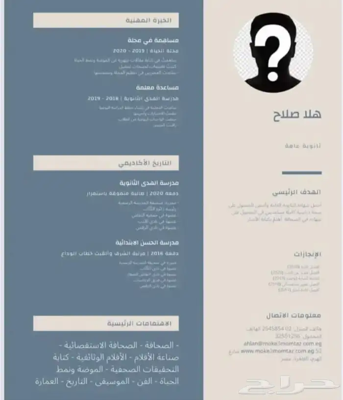 تصميم سيرة ذاتية 0