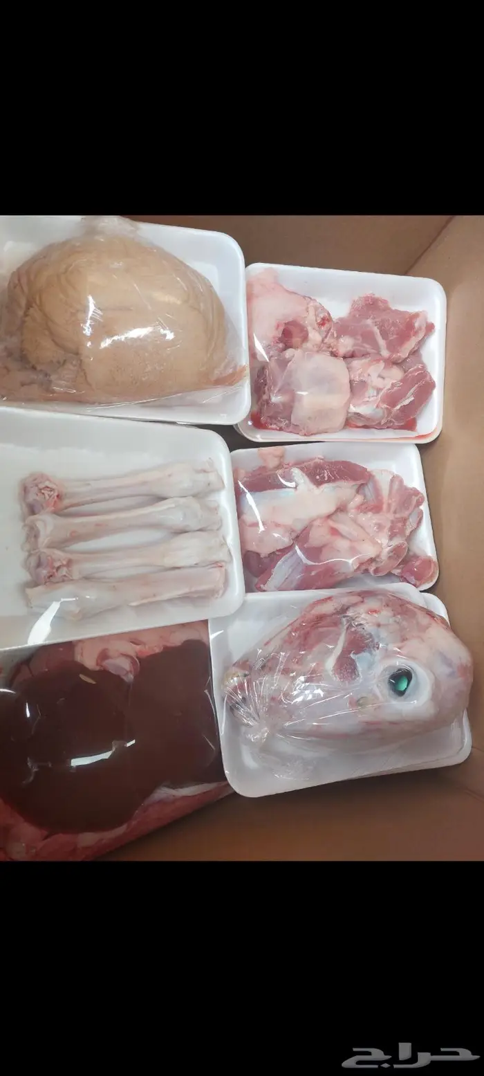 غنم لحم سواكني حري مع التغليف وطبخ مع التوصيل 2