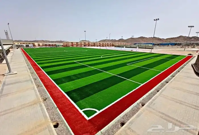 ملعب كرة قدم وبادل أرخص سعر 1