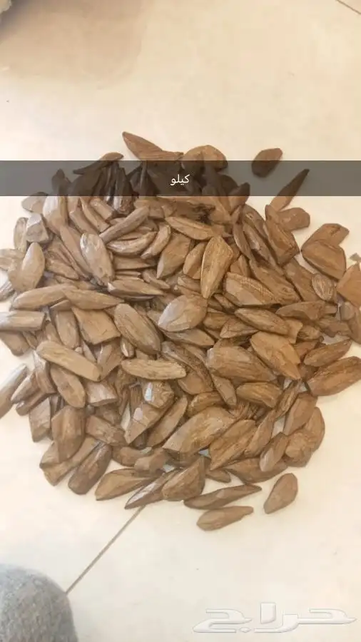 عود مروكي طبيعي محسن بيووور 10