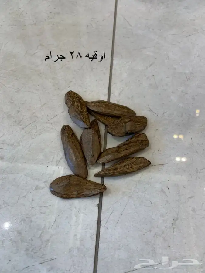 عود مروكي طبيعي محسن بيووور 7