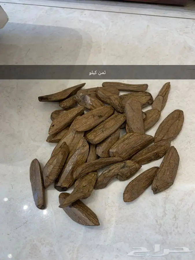 عود مروكي طبيعي محسن بيووور 6