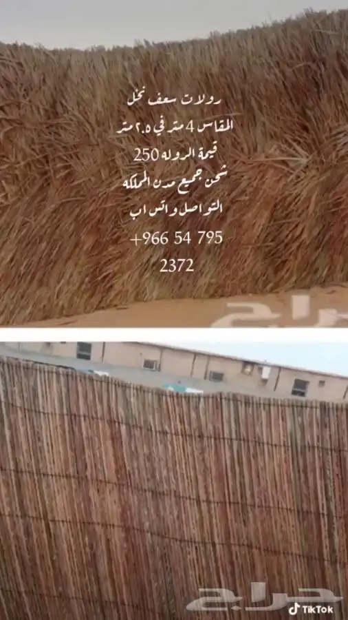 سعف نخل رولات السعف للمظلات والاحواش 3