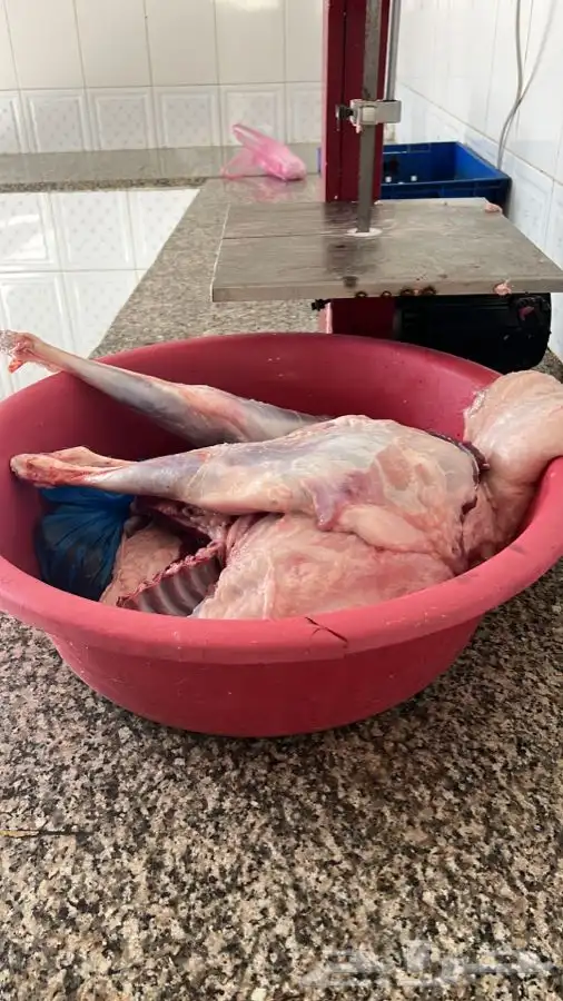 ذبايح سواكني ثلاجة عرض اليوم 1250 ثنيان وربعان لحد بيتك 2