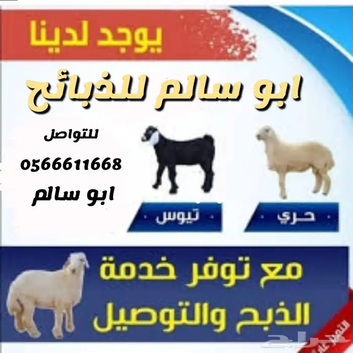 ذبايح سواكني ثلاجة عرض اليوم 1250 ثنيان وربعان لحد بيتك 0