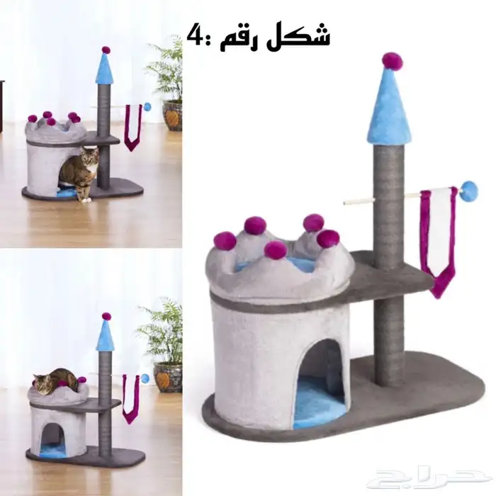 خداشات قطط للبيع 4