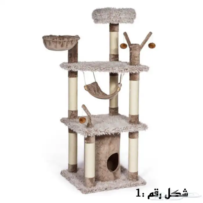 خداشات قطط للبيع 1