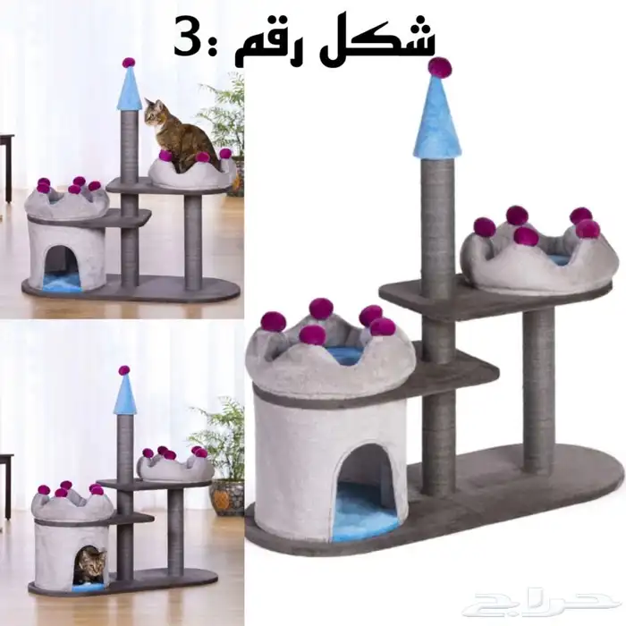 خداشات قطط للبيع 3