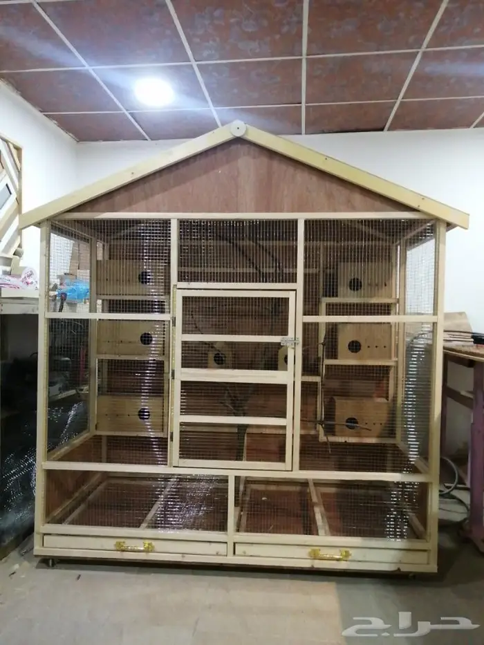 حضيرة عصافير 1