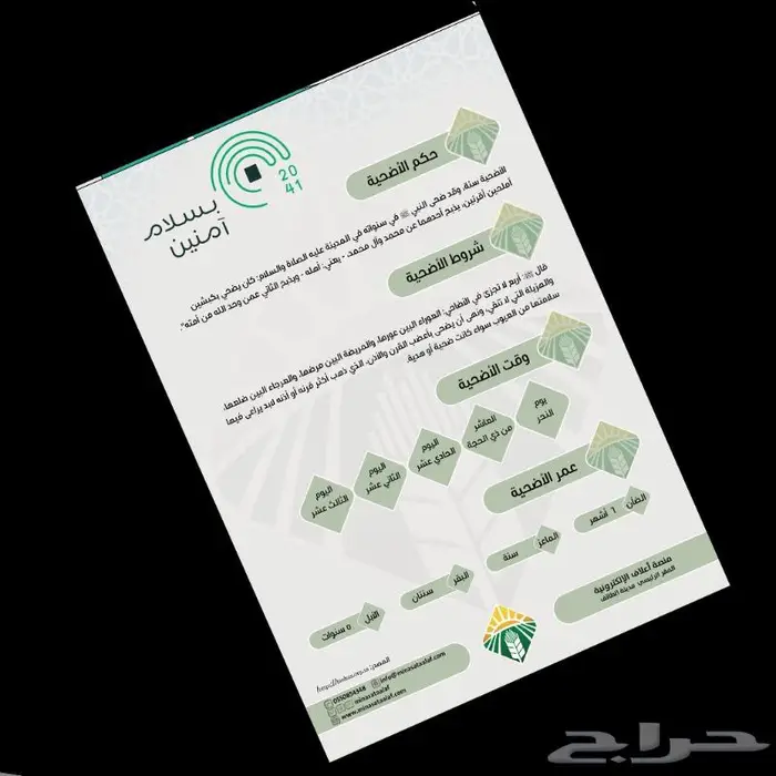 تصميم بروفايل الشركات وانفوجرافيك وبوست اعلان 8