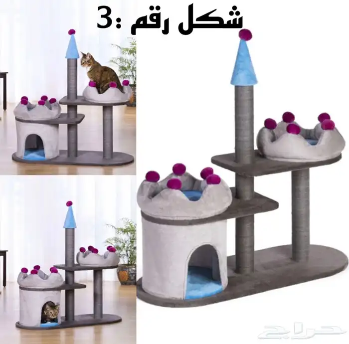 خداشات قطط للبيع 3