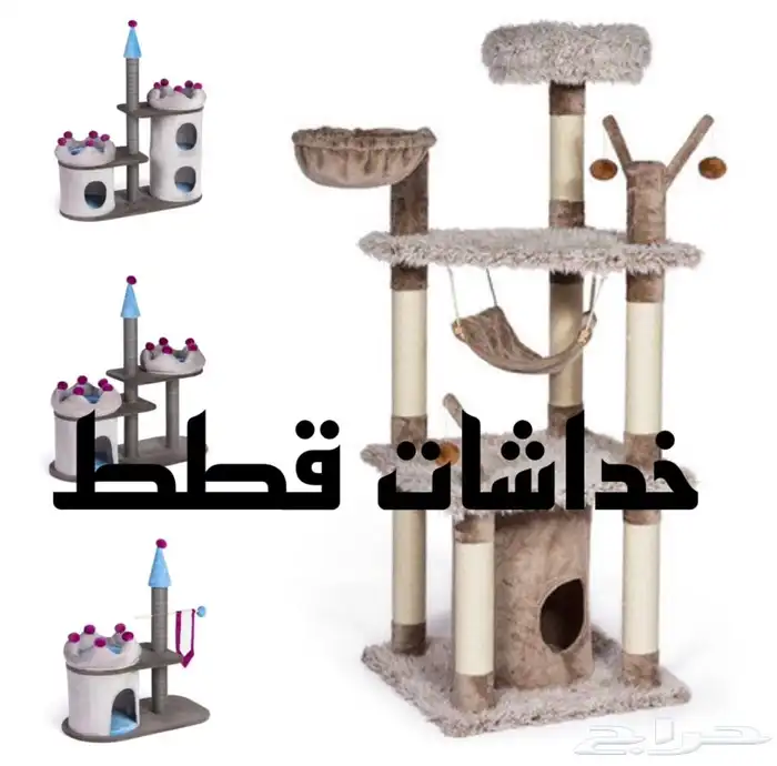 خداشات قطط للبيع 0