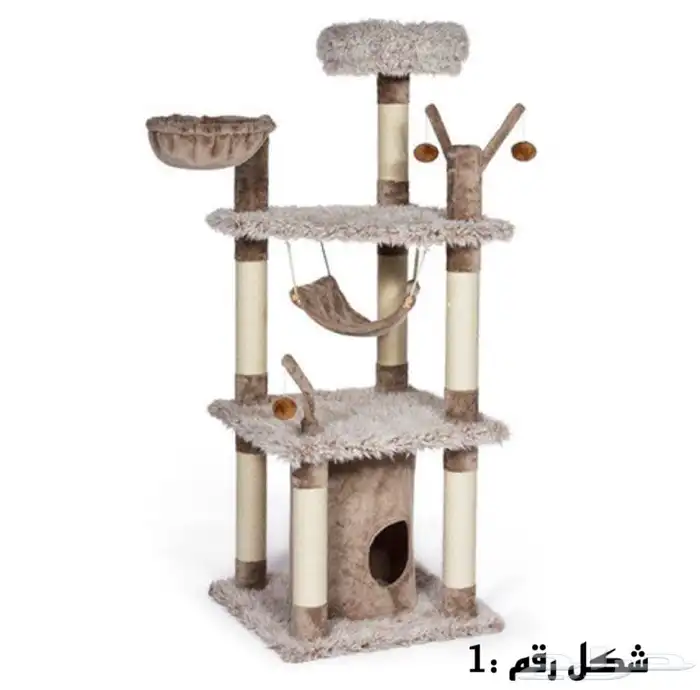 خداشات قطط للبيع 1