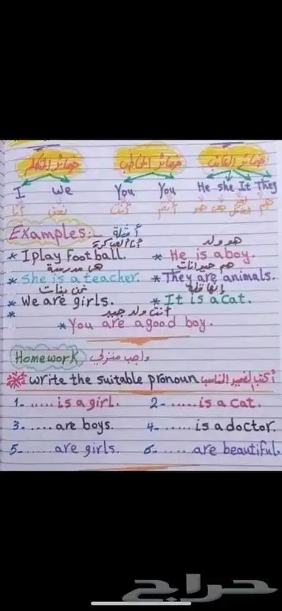 معلمة تأسيس مصرية 0