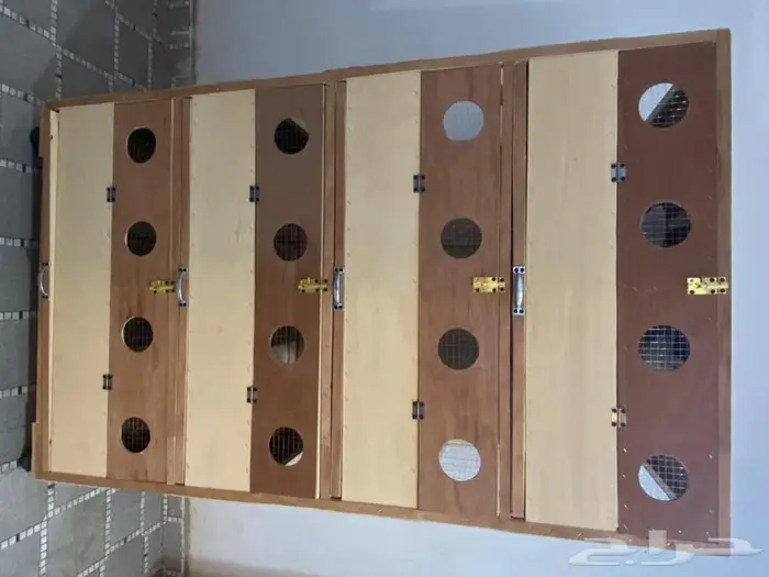 حضانة دجاج بطاريات دجاج حضانة صوص كبيرة 2
