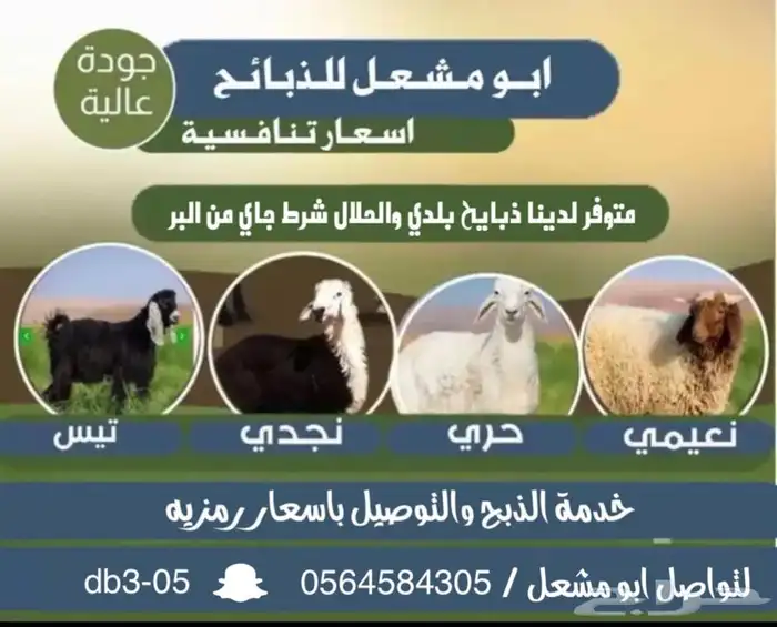 ذبايح لبيع 5