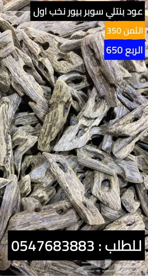 عود البنتلي بيور 0