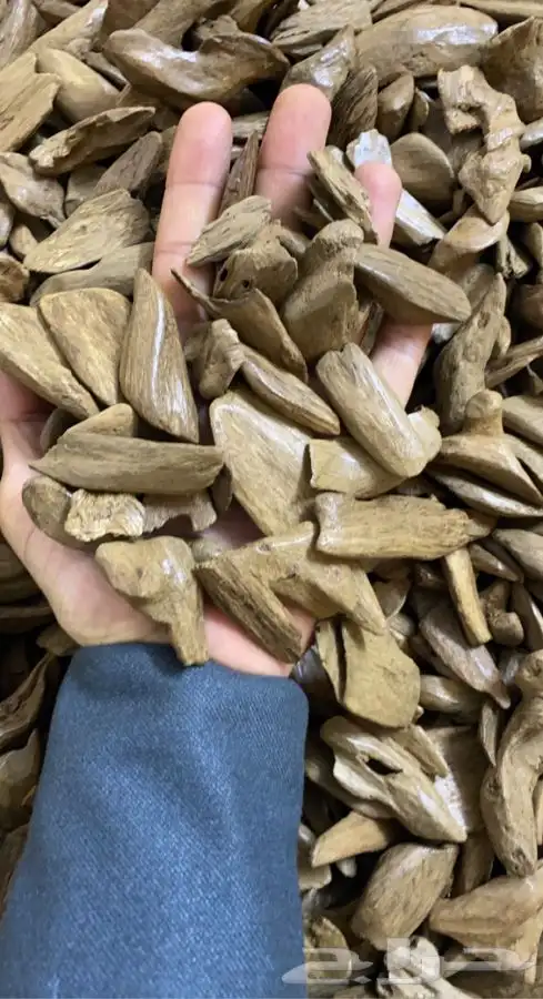 عود مروكي طبيعي سوبر. كسر مباخر. 3