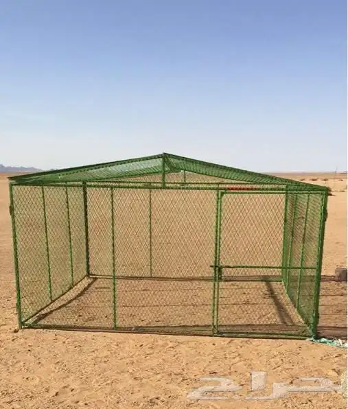 شبك قفص دجاج حمام اكل حمام دجاج 2
