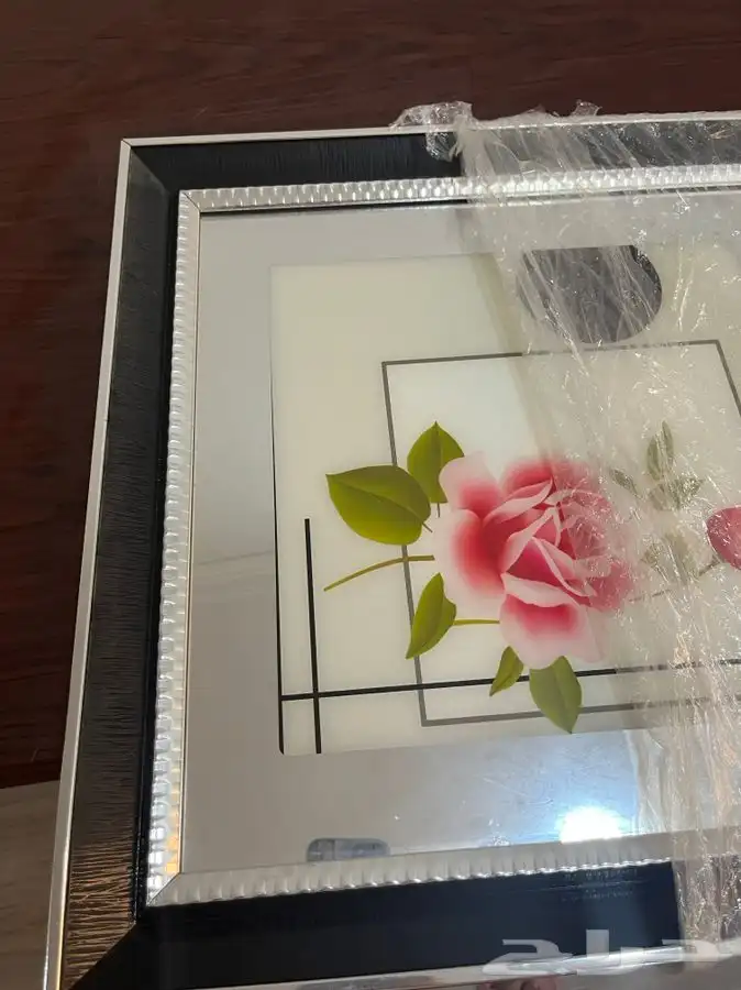 للبيع لوحتين بحالة ممتازه جدا جدا 2