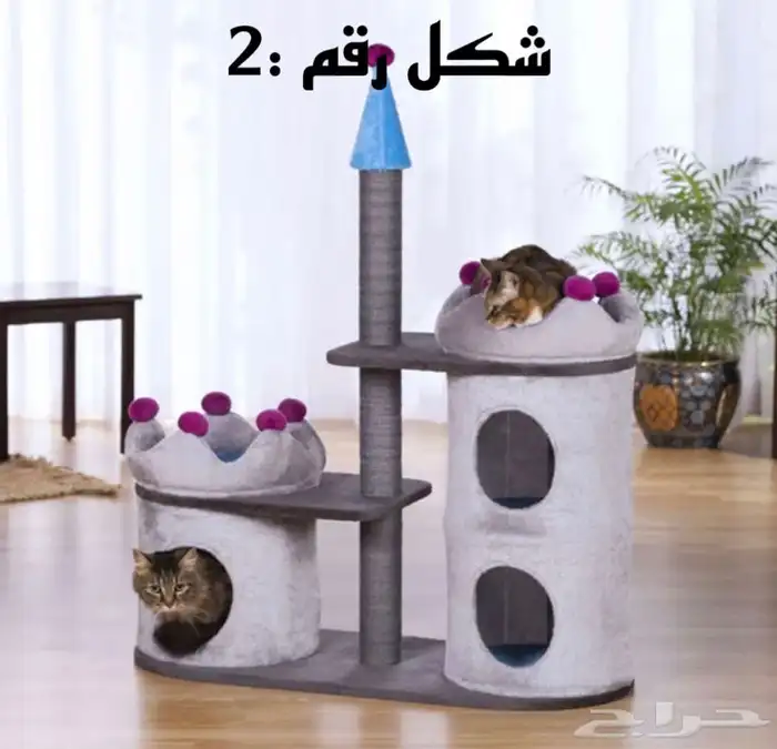 خداشات قطط 2