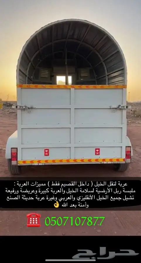 نقل خيل داخل القصيم فقط 0
