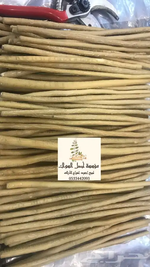 السواك الحار يصلك اينما كنت 3