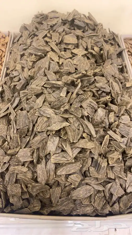 عود كلمنتان 1