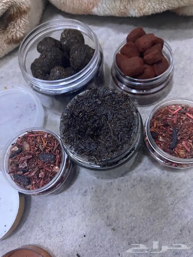 بخووور عوده 4