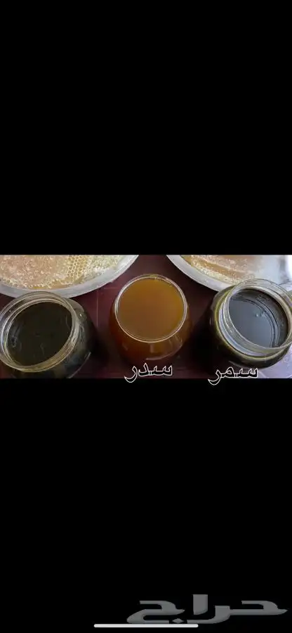 عسل شمع وسايل بلدي من رجال المع عسير سعر الكيلو 190 ريال 1