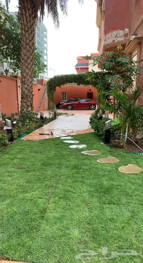 نجيله عشب طبيعي 3