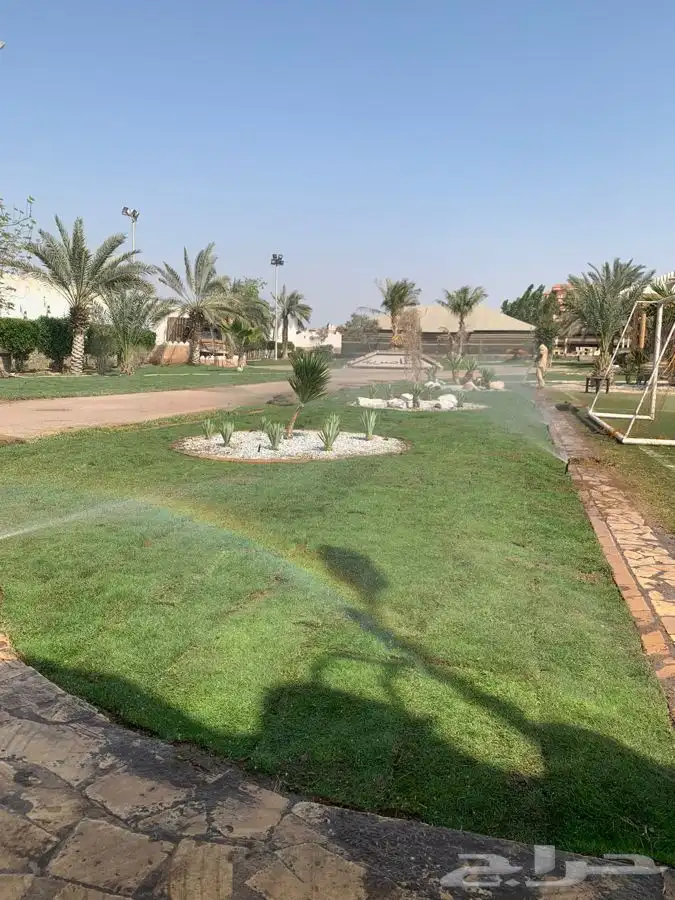 نجيله عشب طبيعي 14