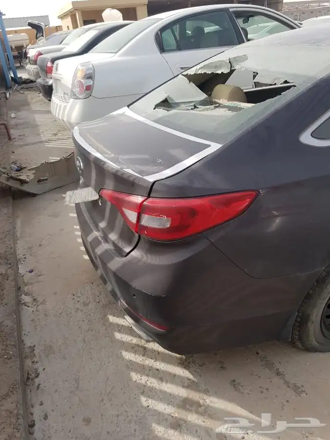 تشليح التركي 24