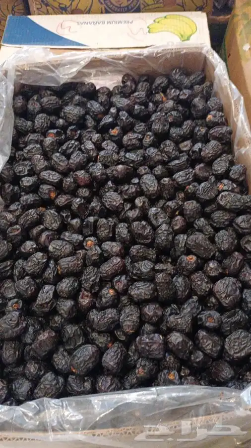 عجووه حبه فاخره 2