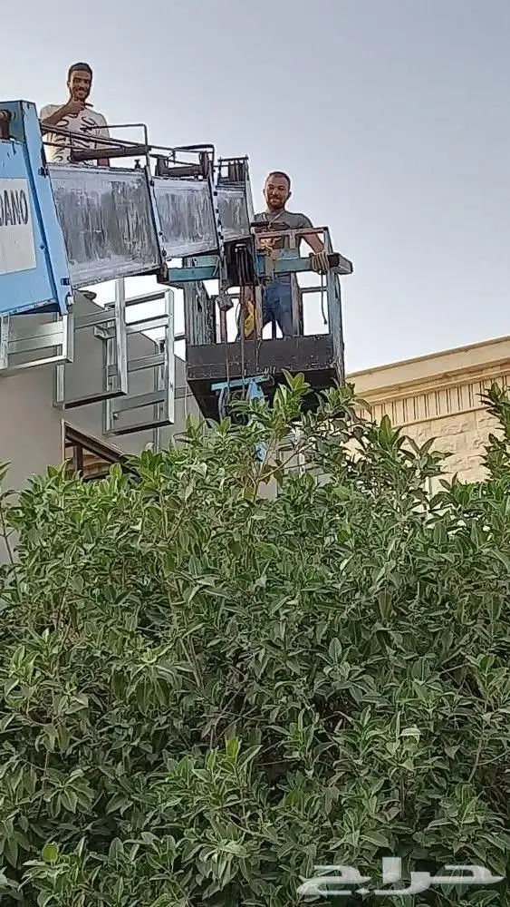 رافعه كرين ونش للاجار 1