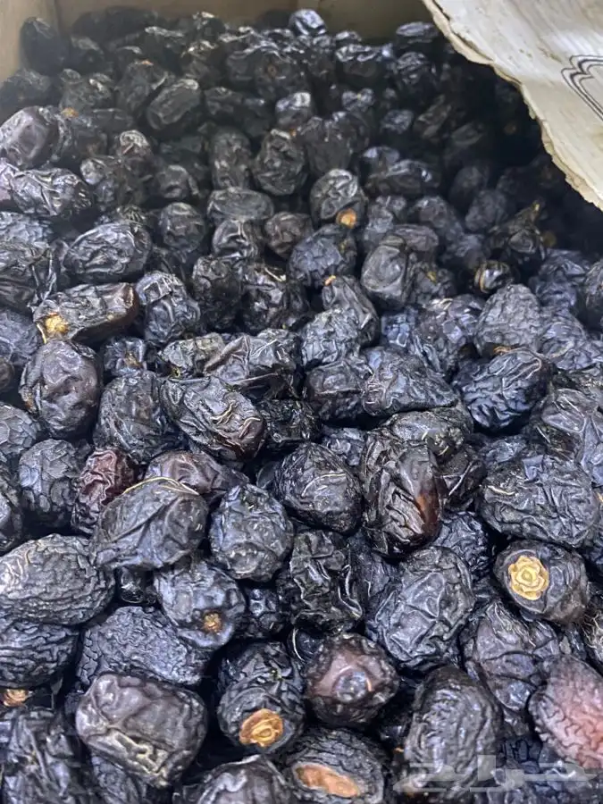 عجووه حبه فاخره 0