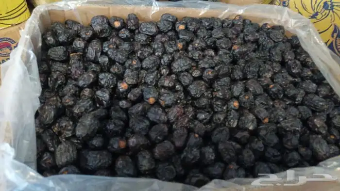 عجووه حبه فاخره 1