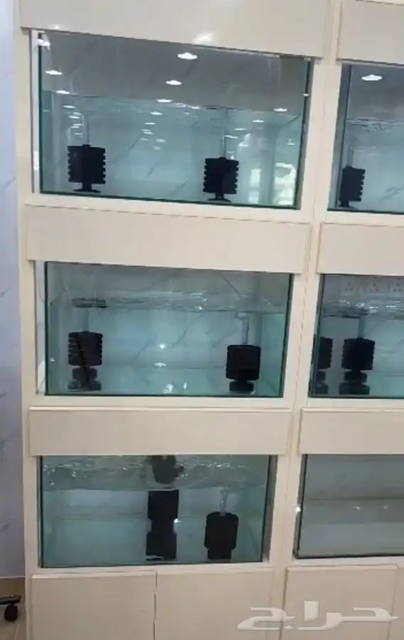 تفصيل أحواض سمك لمحلات اسماك زينه 0