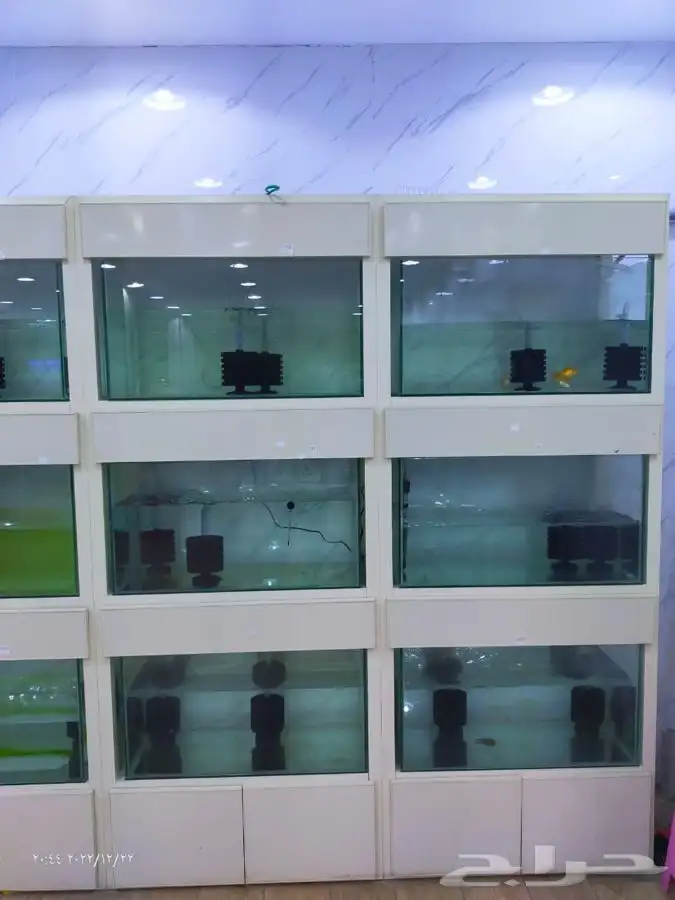 تفصيل أحواض سمك لمحلات اسماك زينه 1