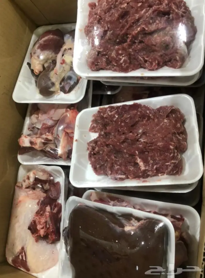 ذبايح تقطيع شوربا وفرم الحم 1