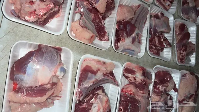 ذبايح تقطيع شوربا وفرم الحم 0