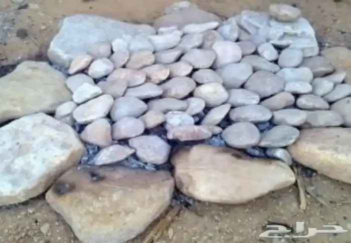 حجر مظبي طبيعي توريد للمطاعم 00توصيل00 20