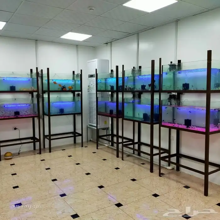 تفصيل أحواض سمك لمحلات اسماك زينه 2