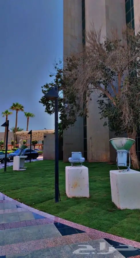 عشب اخضر طبيعي نجيله انجيله ثيل 28
