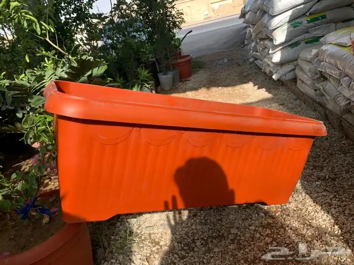 عشب اخضر طبيعي نجيله انجيله ثيل 93